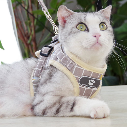 猫咪牵引绳猫绳防挣脱猫绳子背心式溜猫绳子猫咪外出专用遛猫绳子 - 图1