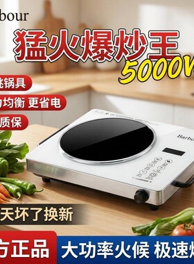 德国品质电陶炉智能5W新