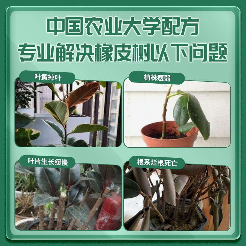 橡皮树肥料专用橡皮树营养液专用肥防黄叶落叶烂根专用颗粒肥,淘宝优惠券,粉丝福利购,淘宝优惠卷