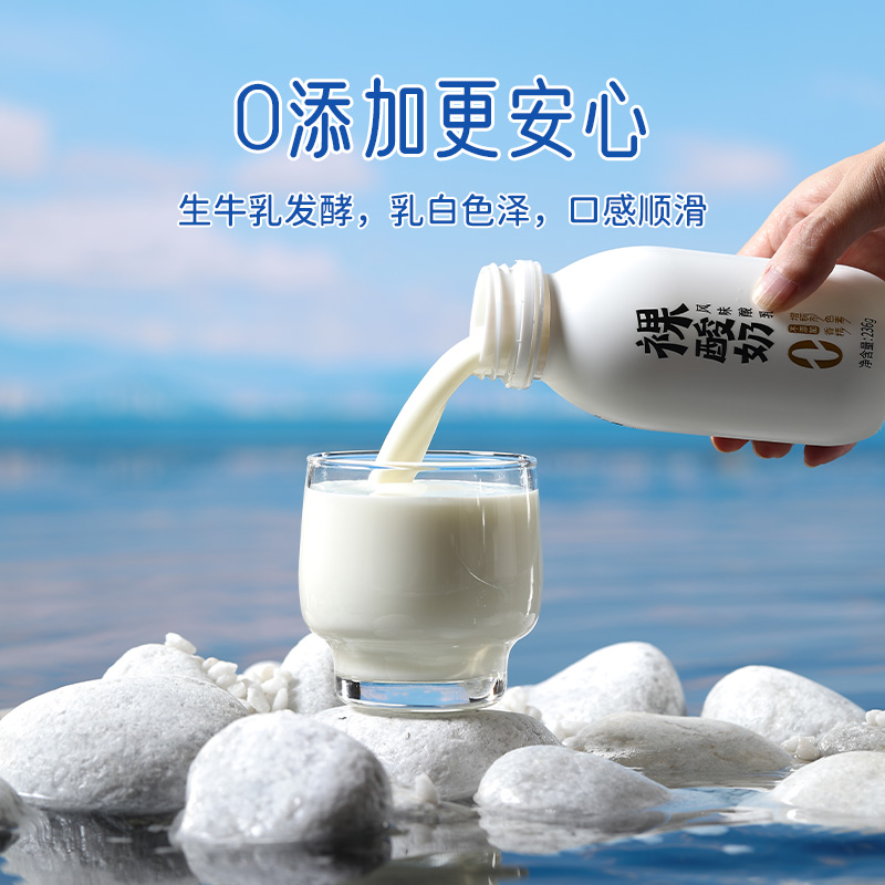 云南特产大理来思尔裸酸奶236g*8瓶乳酸菌牧场酸奶早餐