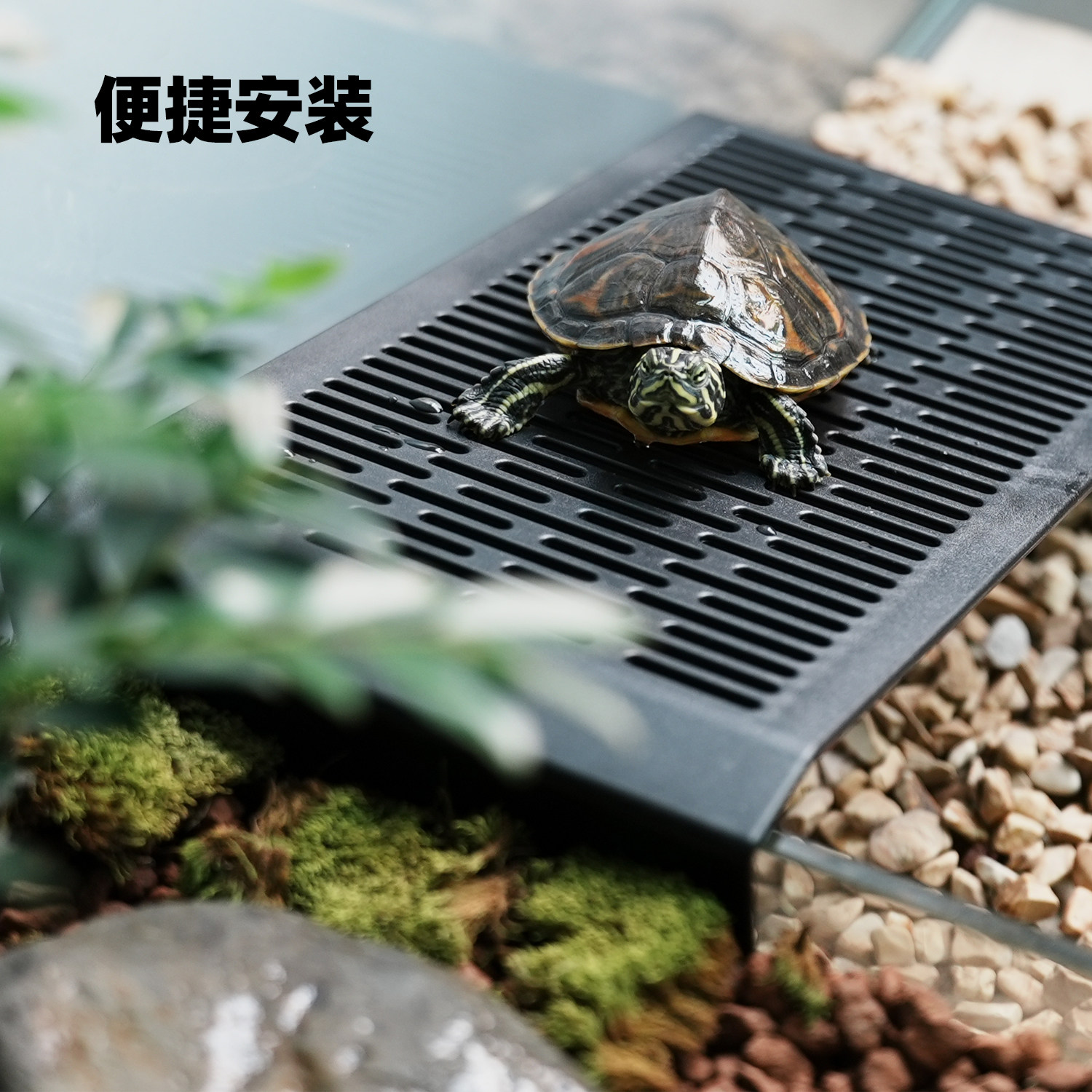 乌龟缸水陆专用爬坡板沙池爬梯周转箱进出晒背爬架深水晒台斜坡,淘宝优惠券,粉丝福利购,淘宝优惠卷