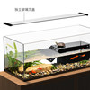 Back filter ecological turtle tank