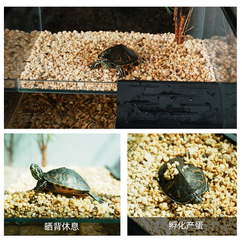 新型玻璃乌龟缸带晒台别墅造景绿植水陆缸家用客厅养龟专用饲养缸 - 图1
