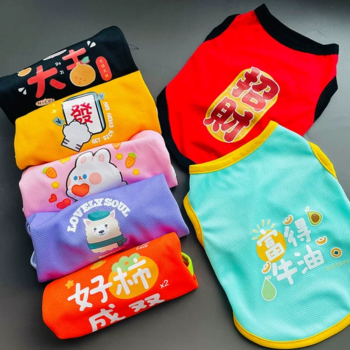 Три -летний магазин шесть размеров кошек, празднующих собак Тедди Тедди осенью и зимней одеждой, маленький собачье питомец Bomei 2023 Новый Bien Bears Puppy Новый год