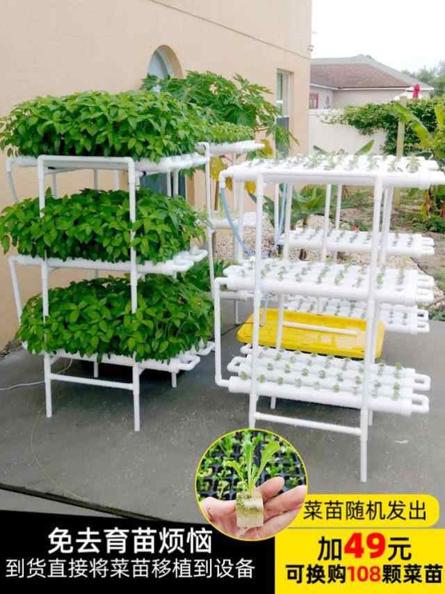 水耕种植生菜 新人首单立减十元 21年8月 淘宝海外