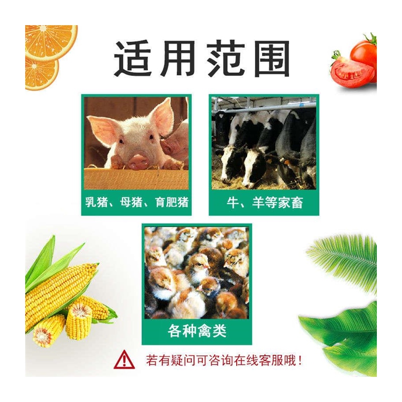 百畜兴旺 兽用脱霉剂猪牛羊马兔鸡鸭禽用饲料 枯草芽孢杆菌霉 - 图3