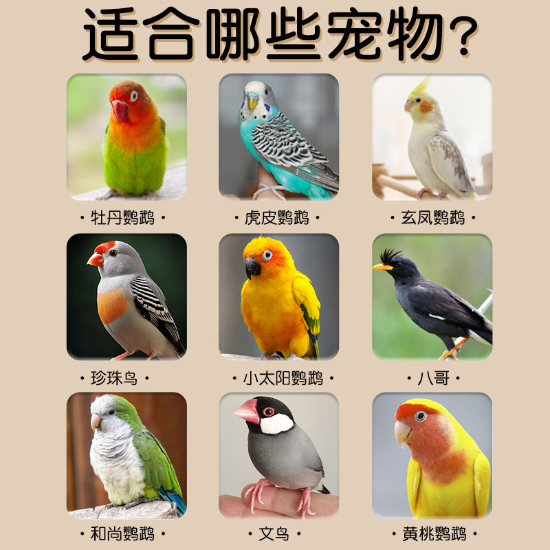 玄凤牡丹鹦鹉啃咬玩具麦秆磨牙磨嘴专用天然小麦秸秆解闷自嗨用品,淘宝优惠券,粉丝福利购,淘宝优惠卷