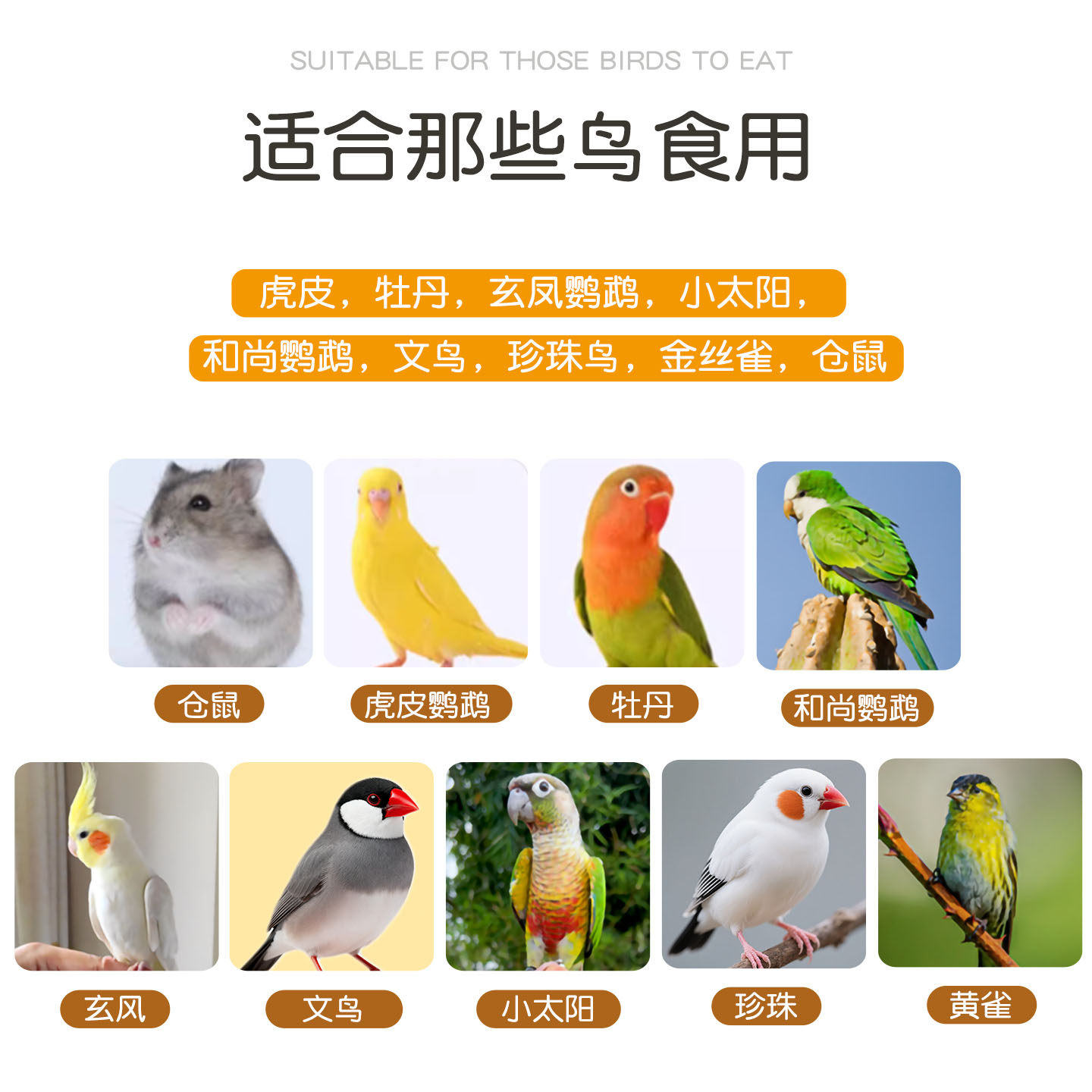 蛋小米鹦鹉鸟粮断奶期牡丹虎皮珍珠专用饲料谷子繁殖增肥营养鸟食,淘宝优惠券,粉丝福利购,淘宝优惠卷