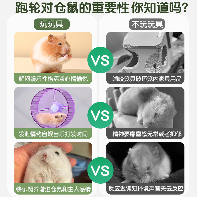 金丝熊仓鼠跑轮超静音大号专用运动玩具解闷自嗨跑步机滚轮球支架,淘宝优惠券,粉丝福利购,淘宝优惠卷