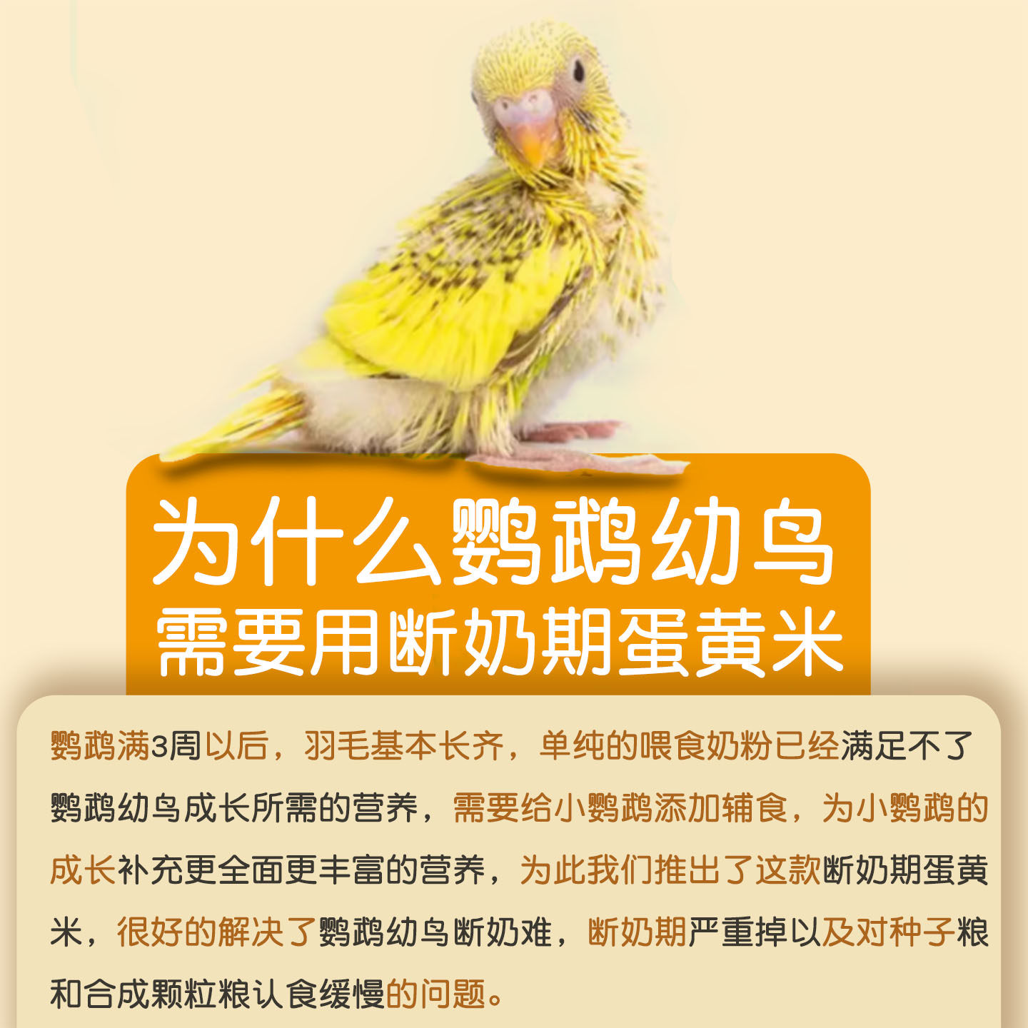 蛋小米鹦鹉鸟粮断奶期牡丹虎皮珍珠专用饲料谷子繁殖增肥营养鸟食,淘宝优惠券,粉丝福利购,淘宝优惠卷