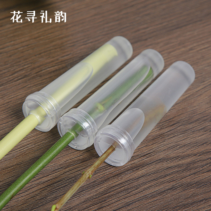 鲜花保水管营养管培养管洋兰管玫瑰花养花保鲜花束花店用品材料 - 图2