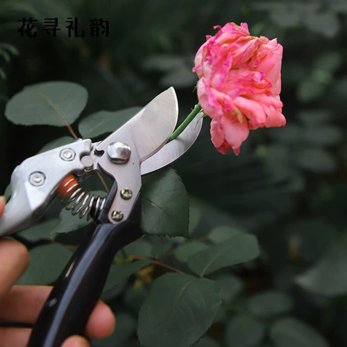 花寻礼韵 Ножницы для садоводства, филиалы, обрезка и обрезка ножницы цветочного искусства из нержавеющей стали, чтобы обрезать ветви
