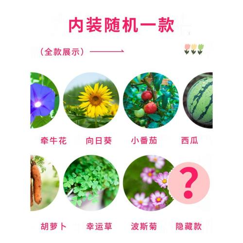 盆栽盲盒儿童植物玩具种子小学生奖品网红2022新款小学生开学礼物