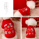 Собачья одежда Shineri Bomeki Corki День маленьких собак Вступление в золотой свитер