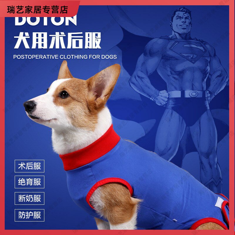 狗狗术后恢复服 新人首单立减十元 21年10月 淘宝海外