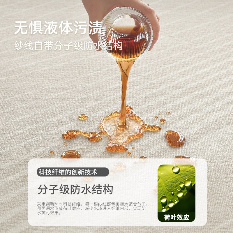 地毯客厅轻奢高级感卧室防水防污免洗可擦沙发茶几地垫免打理床边