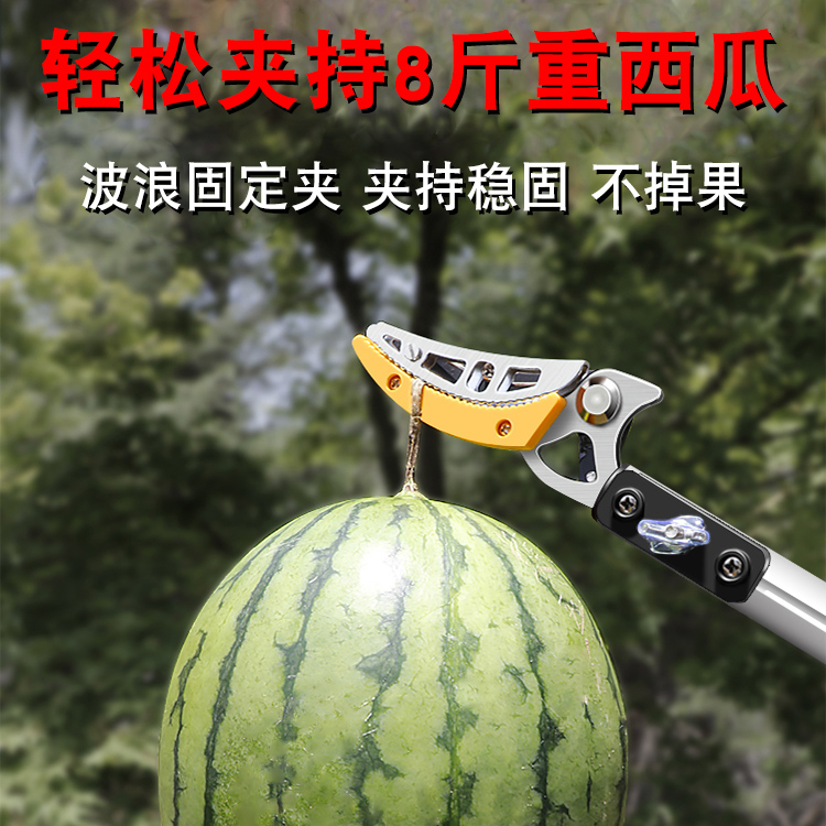 摘果神器修枝剪伸缩高空摘水果剪刀加长采摘器荔枝枇杷龙眼高枝剪 - 图2
