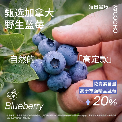 【新婚礼物】每日黑巧状态感超鲜蓝莓鲜萃黑巧克力喜糖零食花青素 - 图0