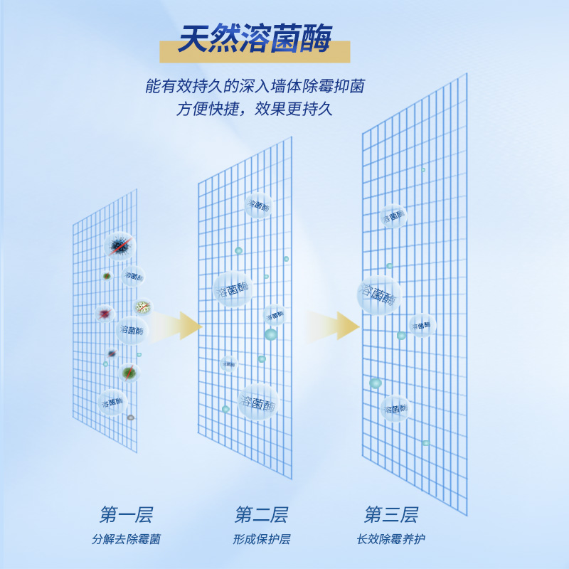 墙体墙面除霉剂去霉斑霉菌清洁剂 施多康多用途清洁剂