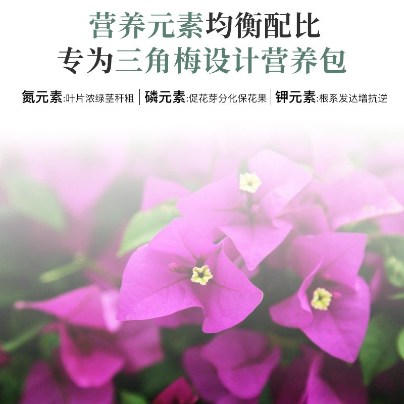 三角梅专用肥花肥开花肥料营养液有机家用盆栽通用磷酸二氢钾花卉