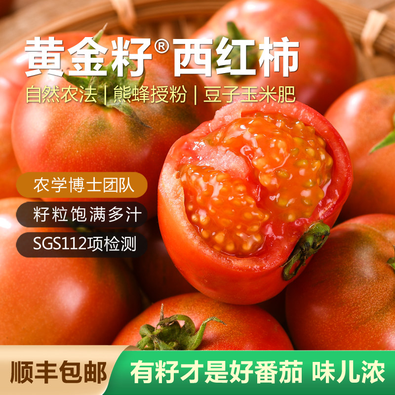 黄金籽西红柿新鲜自然熟生吃番茄酸甜现摘现发水果柿子4.8斤,淘宝优惠券,粉丝福利购,淘宝优惠卷