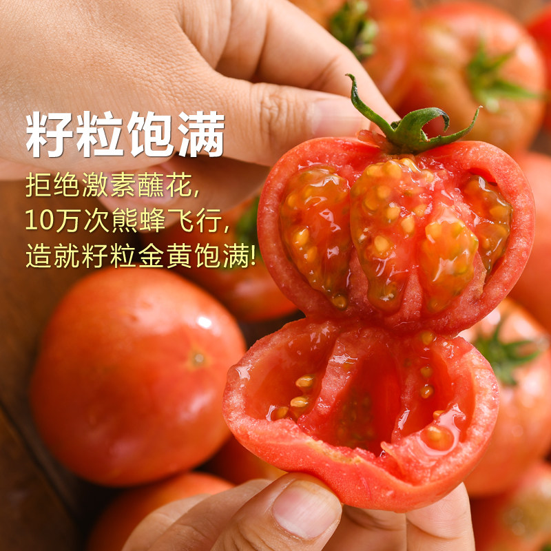 黄金籽西红柿新鲜自然熟生吃番茄酸甜现摘现发水果柿子4.8斤,淘宝优惠券,粉丝福利购,淘宝优惠卷