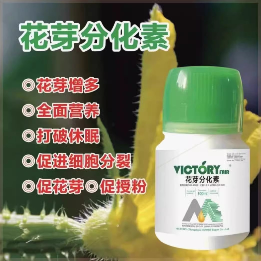 VICTORY FAIR维柯托瑞花芽分化素授粉开花现蕾分化细胞分裂果树y - 图3