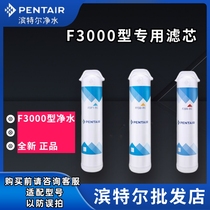 Hamtel Water Purifier Home F3000-A2 original fit filter core F3000-C2 silver-loaded activated carbon fiber filter core