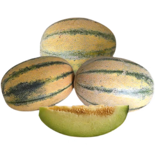 Синьцзян Специализированный старик дыня циасексин черные бровей гаши дыня свежие фрукты беременные женщины здоровые фрукты дыни дыни дыни.