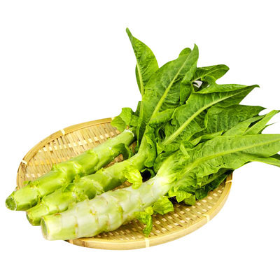 菜竹笋图片及名称,菜竹笋是什么品种,7月到9月的竹笋有哪些_文秘苑图库