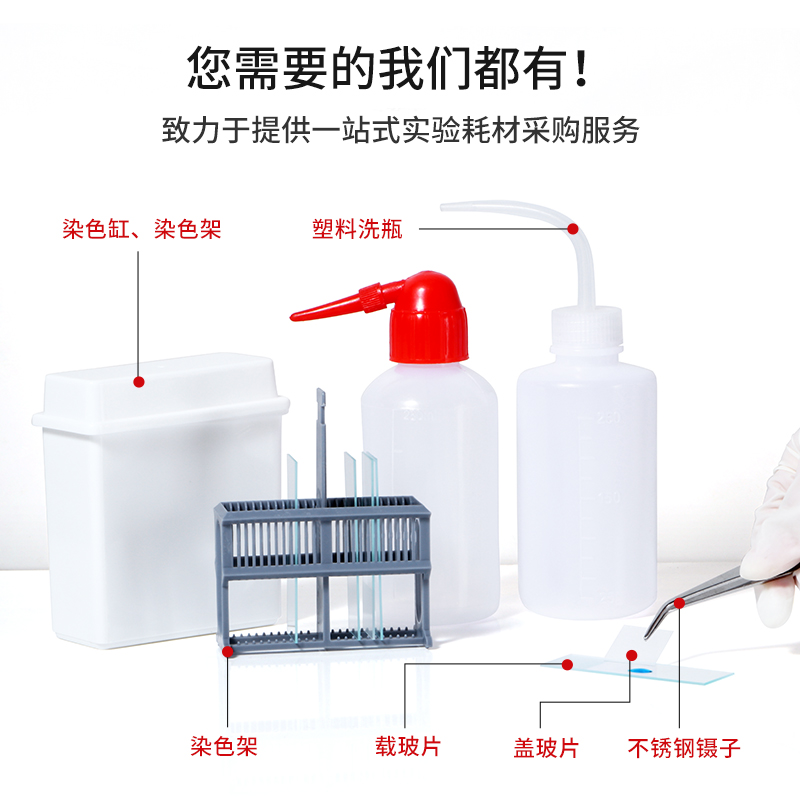 比克曼生物结晶紫染色液草酸铵沙黄番红染液细菌显微镜生物染色剂-图3