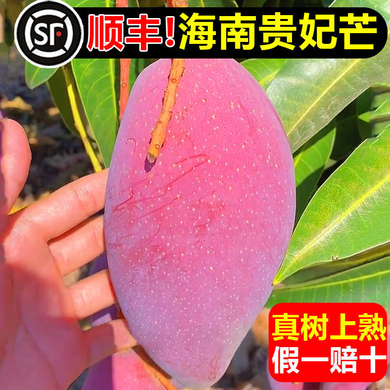 芒果花 新人首单立减十元 22年5月 淘宝海外