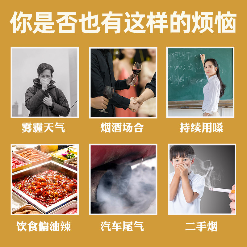 胖大海咽炎茶养生茶叶清肺包金银花 沁晚香养生茶