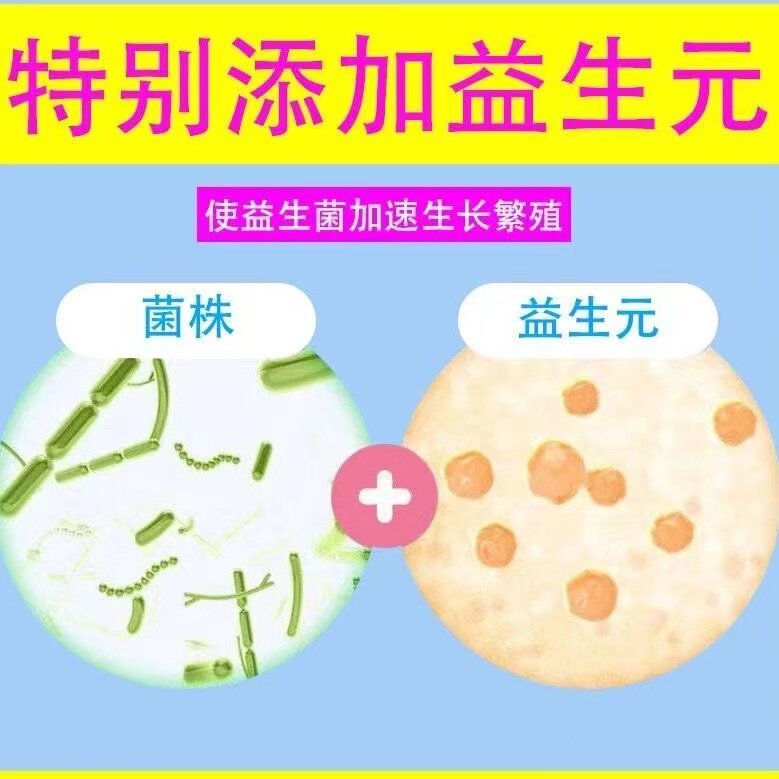 大人儿童女性调理肠胃仁和粉益生菌 沁晚香益生菌