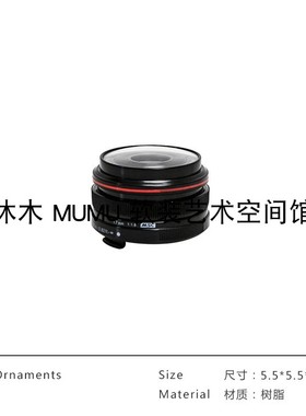 单反相机模型道具装饰柜摆件现代简约饰品软装售楼处样板房儿童房