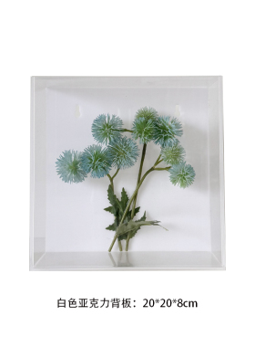 样板间儿童书房真植物标本亚克力盒表装挂墙软装饰品墙饰组合件