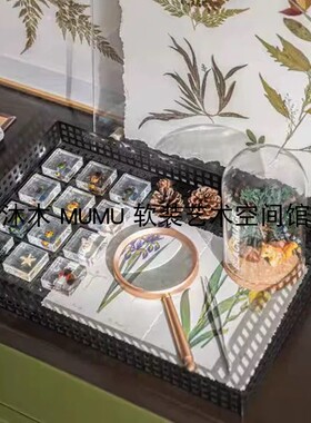 简约现代样板间实验室植物主题昆虫标本装饰画标本书房组合装饰品