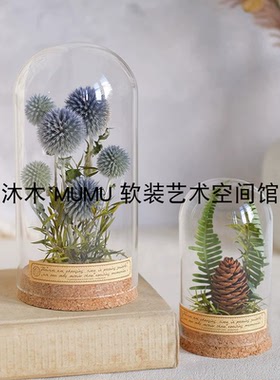 复古植物标本摆件向日葵玻璃罩微景观创意生日礼物书架装饰送老师