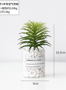 阳台柜摆件样板房卫生间洗衣房家政间收纳筐洗衣液真多肉装饰品