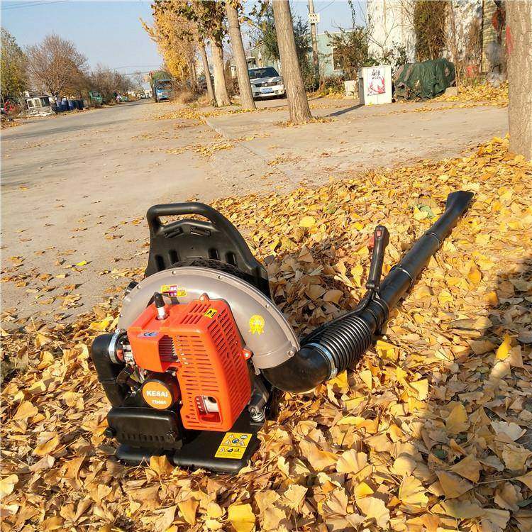 背负式四冲程吹风机汽油庭院树叶清扫机轻便小型吹雪机型号,淘宝优惠券,粉丝福利购,淘宝优惠卷