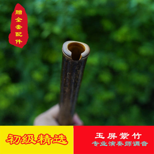 专业成人学生八孔洞箫GF调入门初级箫音准专业 新手轻易上手吹响 - 图0