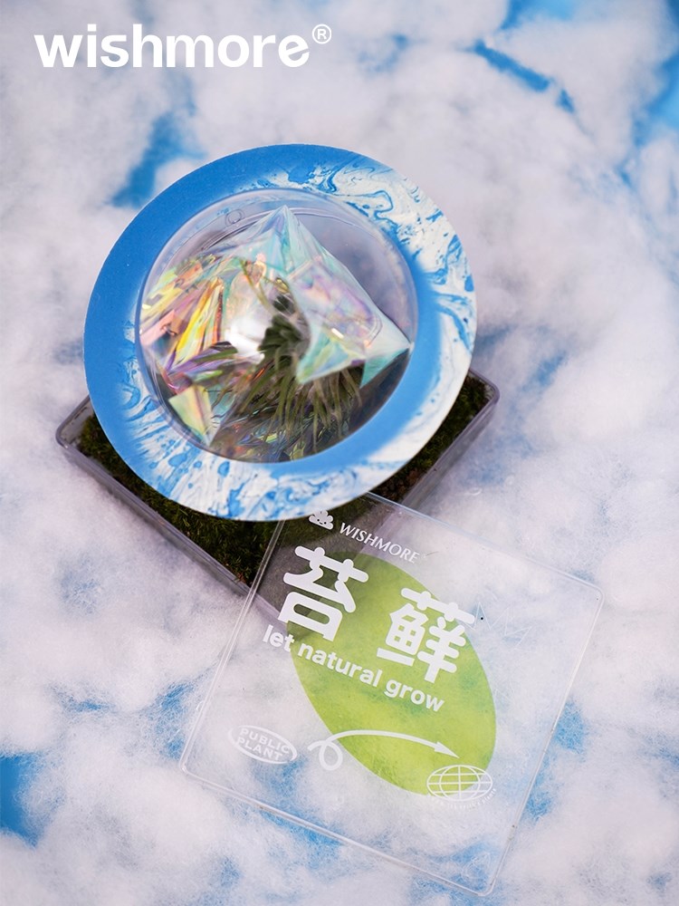 wishmore送你一颗夜光星球创意生日礼物送男女闺蜜儿童情人节礼盒