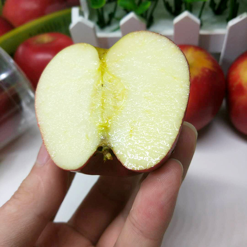 炜顿旗舰店新西兰小苹果进口rockit试管火箭果3管当季新鲜孕妇水果顺丰包邮2