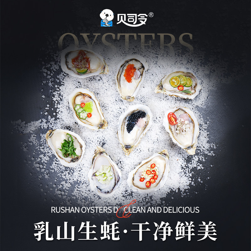 贝司令乳山鲜活10斤特大6xl海蛎子 贝司令生蚝