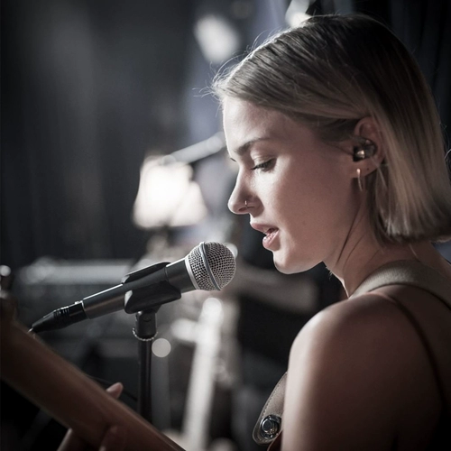 Shure Beta58a Little Blue Circle Stage Performance Performance Microphone Live Singing Recording Dynamic Microphone