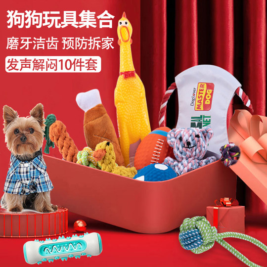 Dog toy ball grinding teeth and screaming chicken Teddy