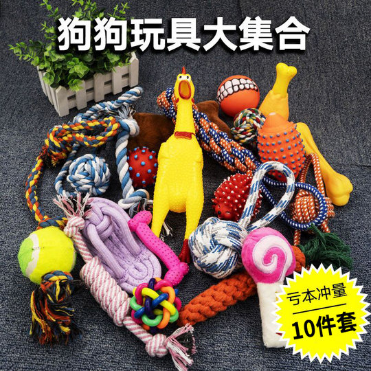 Dog toy ball grinding teeth and screaming chicken Teddy
