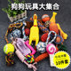 Dog toy ball grinding teeth and screaming chicken Teddy