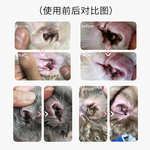 沐森堂龙胆草竹炭净耳液/宠物洗耳水/宠物耳朵清洁犬猫通用 - 图2