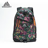 Gregory gregory day commuter travel bag